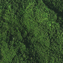 Satellite imagery of 1141, NZ