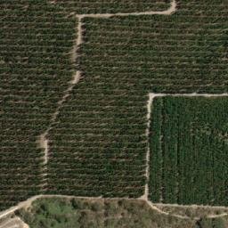 Satellite imagery of Knotts Hill, AU