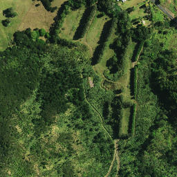 Satellite imagery of Patuwahine Pa, NZ