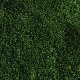 Satellite imagery of 37 TAUMATAMAHOE, NZ