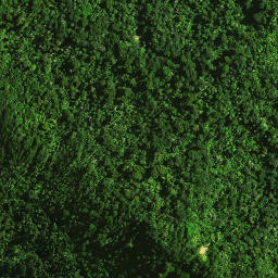 Satellite imagery of 37 TAUMATAMAHOE, NZ