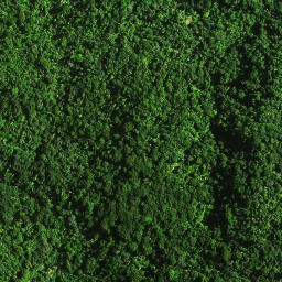 Satellite imagery of 37 TAUMATAMAHOE, NZ