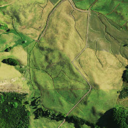 Satellite imagery of 1041, NZ