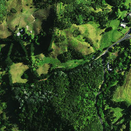 Satellite imagery of 1041, NZ