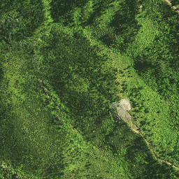 Satellite imagery of 125 TE ROTOMANOAO, NZ