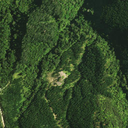 Satellite imagery of 1141, NZ
