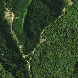 Satellite imagery of 1141, NZ