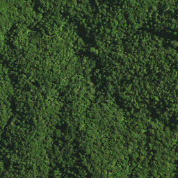 Satellite imagery of 1141, NZ