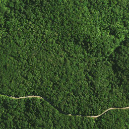 Satellite imagery of Omataroa Ridge, NZ
