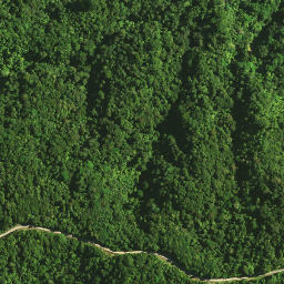 Satellite imagery of Omataroa Ridge, NZ