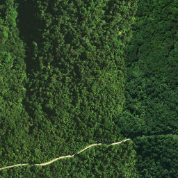 Satellite imagery of Omataroa Ridge, NZ