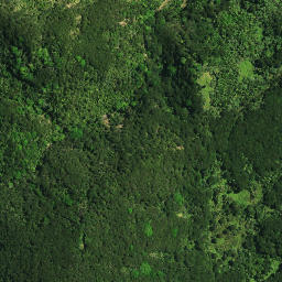 Satellite imagery of Patuwahine Pa, NZ