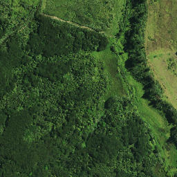 Satellite imagery of Patuwahine Pa, NZ