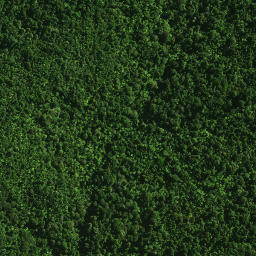 Satellite imagery of 37 TAUMATAMAHOE, NZ
