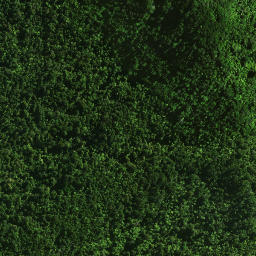 Satellite imagery of 37 TAUMATAMAHOE, NZ
