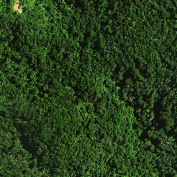 Satellite imagery of 37 TAUMATAMAHOE, NZ