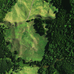 Satellite imagery of 1041, NZ