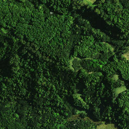 Satellite imagery of 1041, NZ