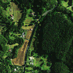 Satellite imagery of 1041, NZ