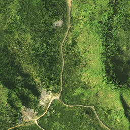Satellite imagery of 125 TE ROTOMANOAO, NZ