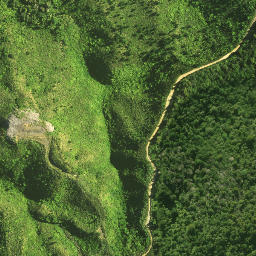 Satellite imagery of 125 TE ROTOMANOAO, NZ