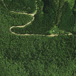 Satellite imagery of 1141, NZ