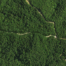 Satellite imagery of 1141, NZ