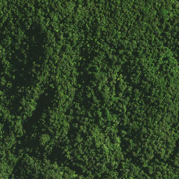 Satellite imagery of Omataroa Ridge, NZ