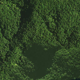 Satellite imagery of Omataroa Ridge, NZ