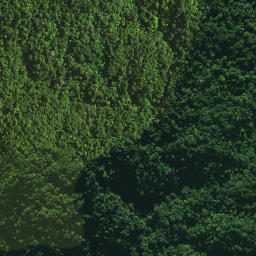 Satellite imagery of Omataroa Ridge, NZ