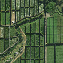 Satellite imagery of RM 18 SO 55463, NZ