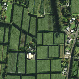 Satellite imagery of RM 19 SO 55463, NZ