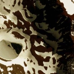 Satellite imagery of Cerro Lagunita, AR