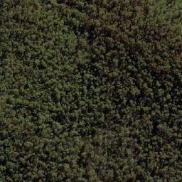 Satellite imagery of Wombat Hill, AU