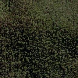 Satellite imagery of Wombat Hill, AU
