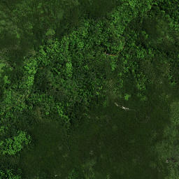 Satellite imagery of Rokika Pa, NZ
