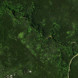 Satellite imagery of Rokika Pa, NZ