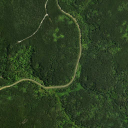 Satellite imagery of Rokika Pa, NZ