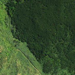 Satellite imagery of Pukeko Pa, NZ