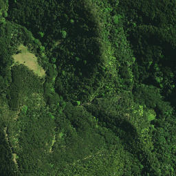 Satellite imagery of Pukeko Pa, NZ