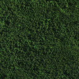 Satellite imagery of 37 TAUMATAMAHOE, NZ