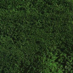 Satellite imagery of 37 TAUMATAMAHOE, NZ