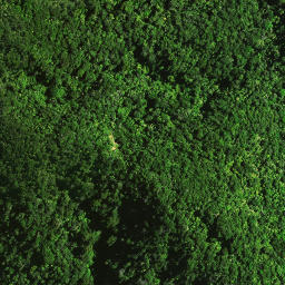 Satellite imagery of 37 TAUMATAMAHOE, NZ