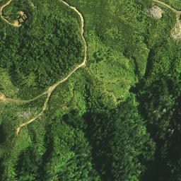Satellite imagery of 125 TE ROTOMANOAO, NZ