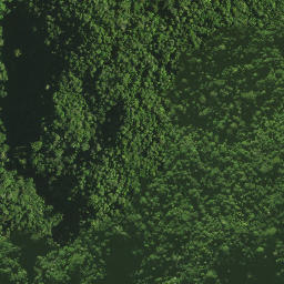 Satellite imagery of Omataroa Ridge, NZ