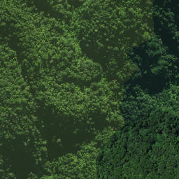 Satellite imagery of Omataroa Ridge, NZ