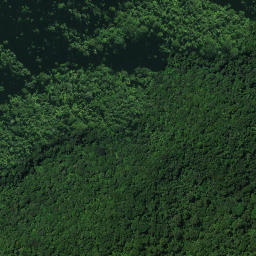 Satellite imagery of Omataroa Ridge, NZ