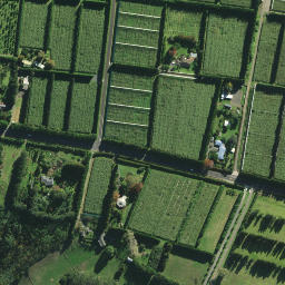 Satellite imagery of 1181, NZ