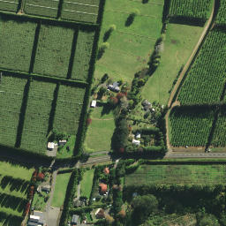 Satellite imagery of 1181, NZ
