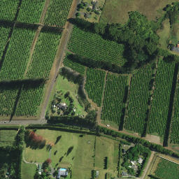 Satellite imagery of 1181, NZ